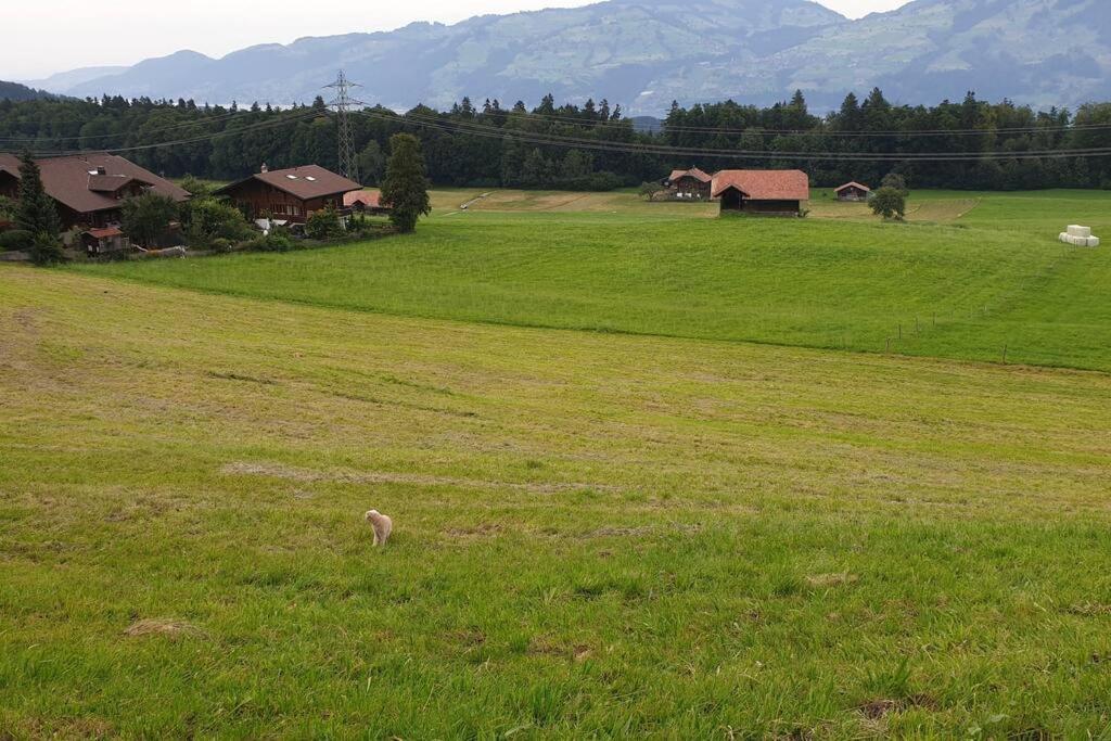 White Home In Aeschi Bei Spiez Exterior foto